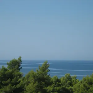 Seapine , Lassi (Kefalonia) Grèce